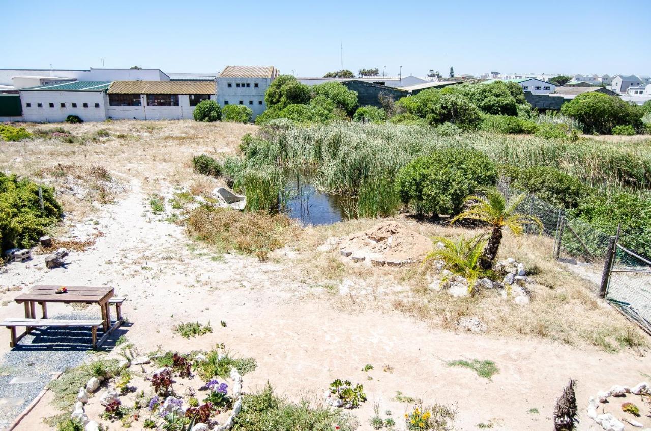 Red Bishop - Birds, & Beauty Apartment Langebaan